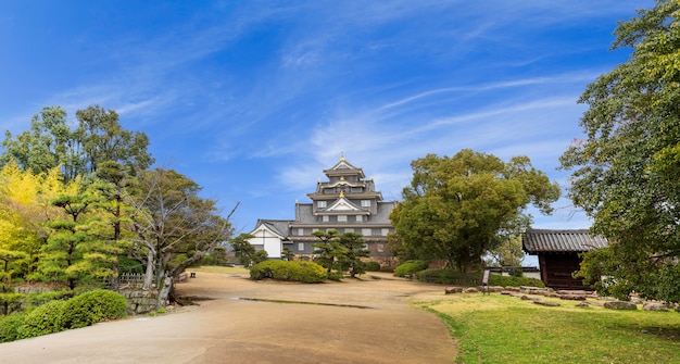 Castillo de Okayama.