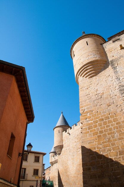 Castillo de Olite