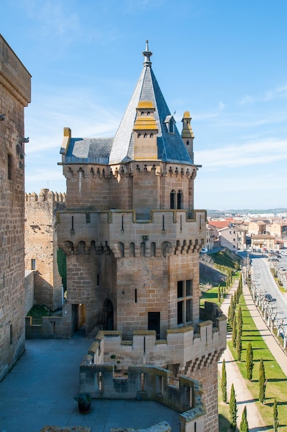 Castillo de Olite