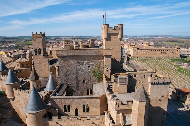 Castillo de Olite