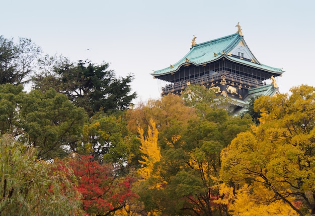 Castillo de Osaka entre los árboles rojos en el otoño