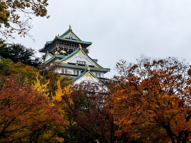 Castillo de Osaka entre los árboles rojos en otoño.