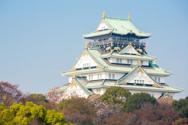 Castillo de osaka japon