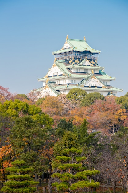 Foto castillo de osaka japon