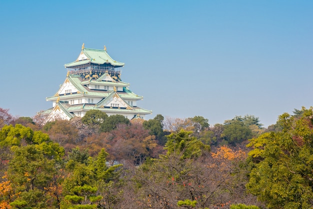 Castillo de osaka japon