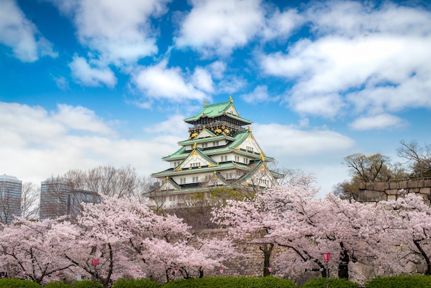 Castillo de Osaka con jardín japonés de cerezos en flor y turismo en Osaka, Japón.