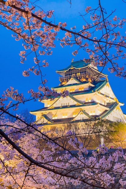 Castillo de Osaka con Sakura en flor en Japón