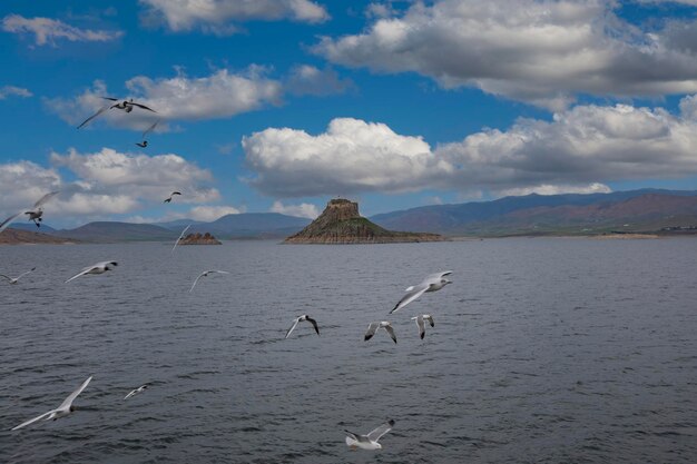 Foto castillo de pertek pertek kalesi ubicado en el distrito de pertek de tunceli