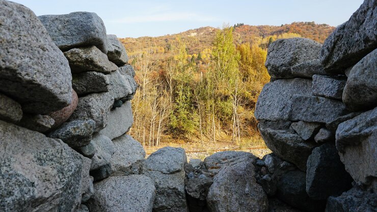 Foto castillo de piedra cerca de las murallas y en el interior
