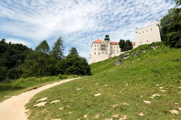 Castillo de Pieskowa Skala en Poloniax9