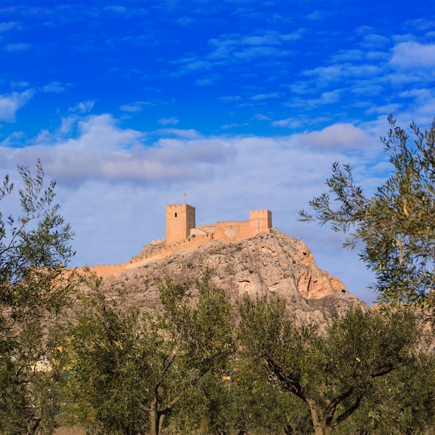 Castillo de pueblo saxofonense en españa