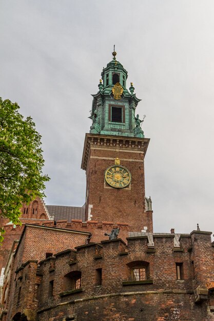 Castillo real en Wawel Cracovia