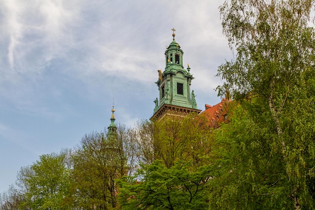 Castillo real en Wawel Cracovia