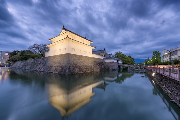 Castillo Sunpu Japón