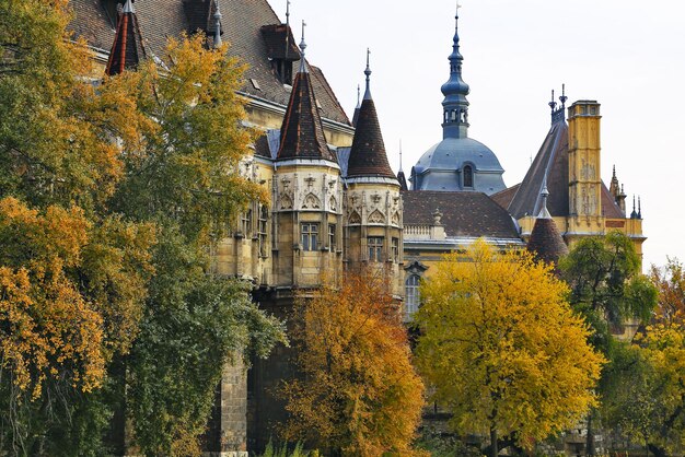 Foto castillo de vajdahunyad y follaje de otoño budapest hungría