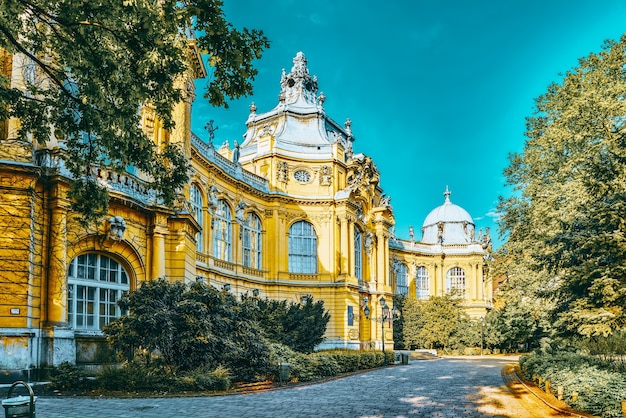 El castillo de Vajdahunyad (húngaro-Vajdahunyad vara) es un castillo en el parque de la ciudad de Budapest, Hungría.