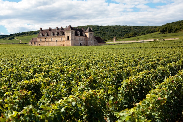 Castillo de viñedos Borgoña, Francia