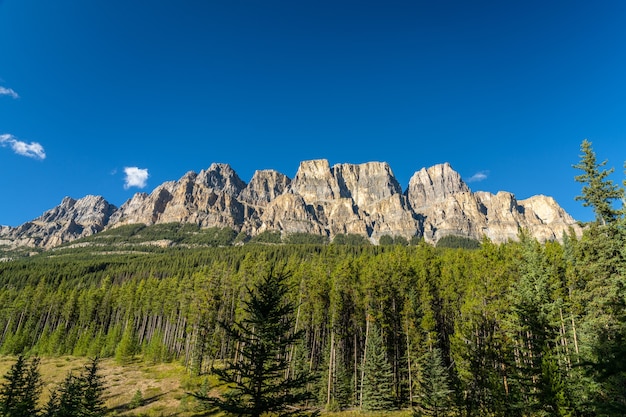 Castle mountain cliff viewpoint em dia ensolarado de verão bow valley parkway banff national park canadá