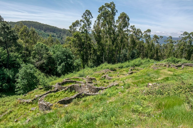 castro celta de trona