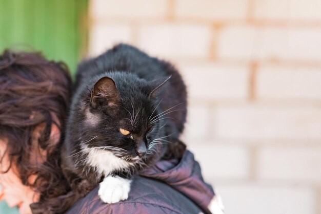 Cat se acuesta sobre la espalda de la mujer y mira hacia abajo. Amor. Detrás de la cabeza. Exterior. Gato callejero. Sin hogar. Soledad. Tristeza. Triste. Solo