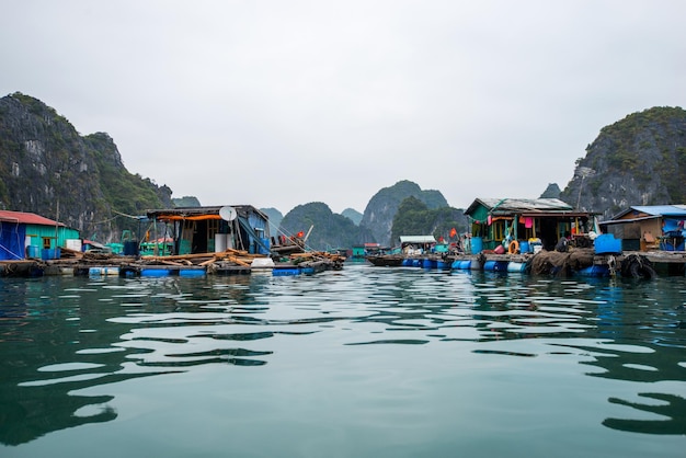 Cat Ba Island Vietnam schwimmendes Fischerdorf