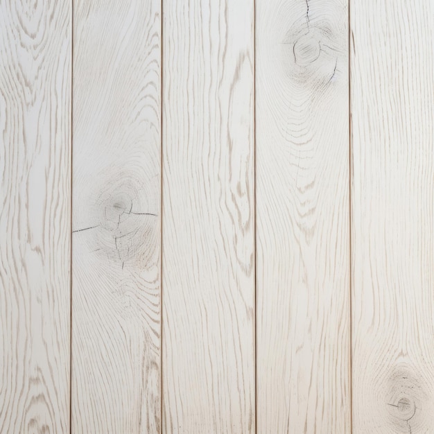 Catálogo de materiales de madera con varios tipos de texturas de grano de madera para banners y diseño de interiores