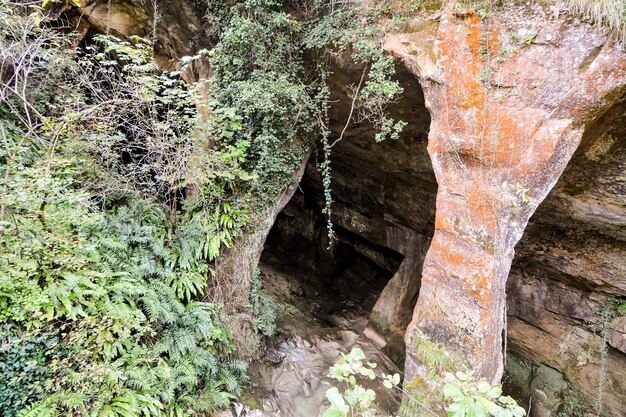 Catarata de agua salpicada