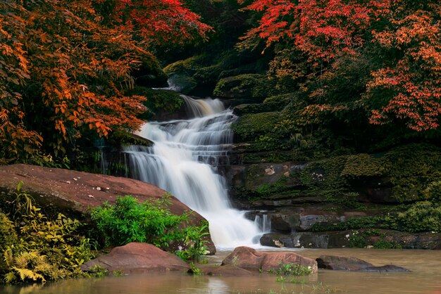 Catarata en el bosque durante el otoño