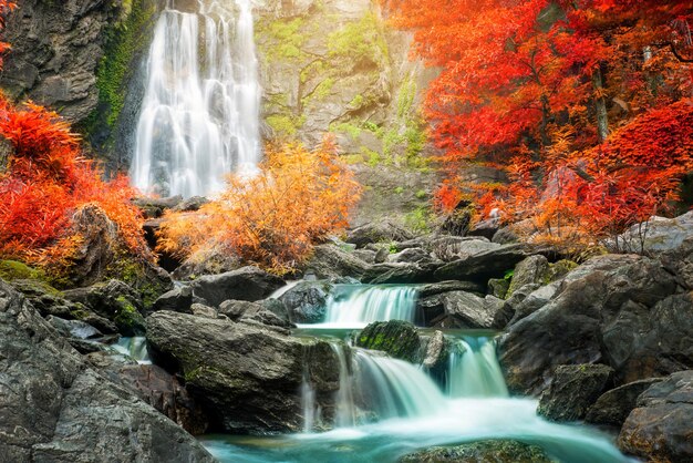 Catarata en el bosque durante el otoño