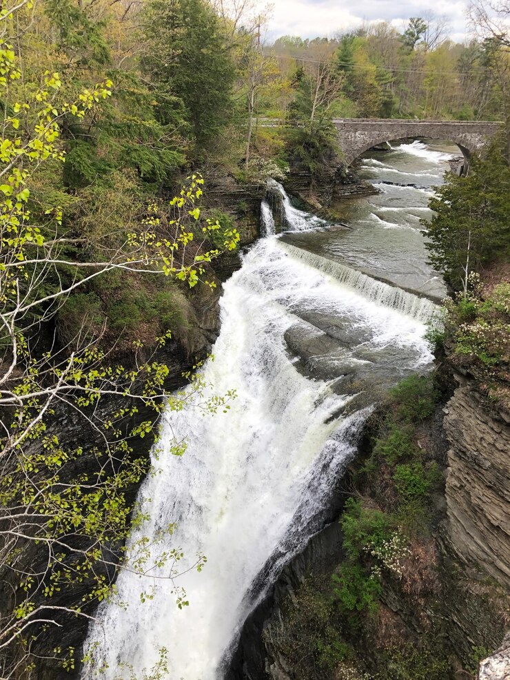Foto catarata en el bosque