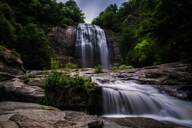 Catarata en el bosque