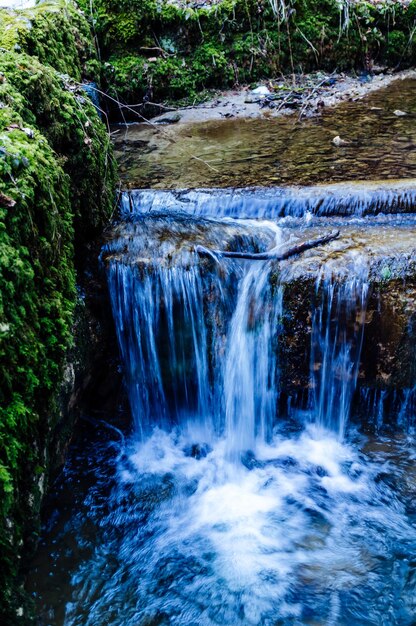 Foto catarata en el bosque