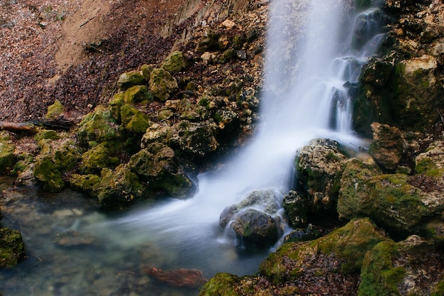 Catarata en el bosque