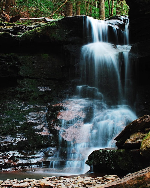 Catarata en el bosque