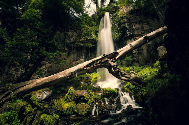 Catarata en el bosque