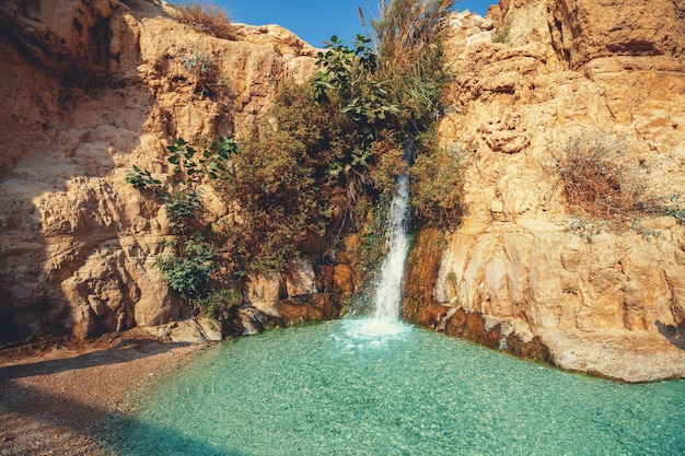 Foto catarata de david en la reserva natural de ein gedi en israel