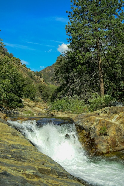 Catarata en medio de los árboles contra el cielo azul