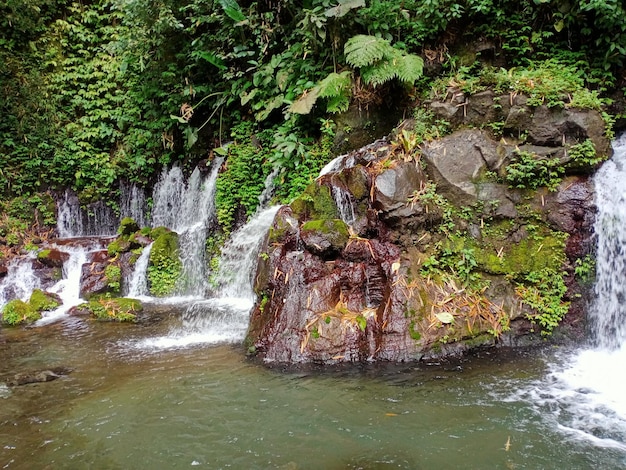 Foto cataratas de agua