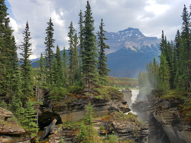 Foto las cataratas de athabasca 2