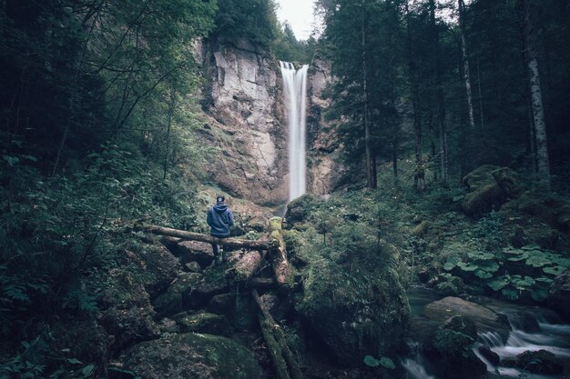 Foto cataratas en el bosque