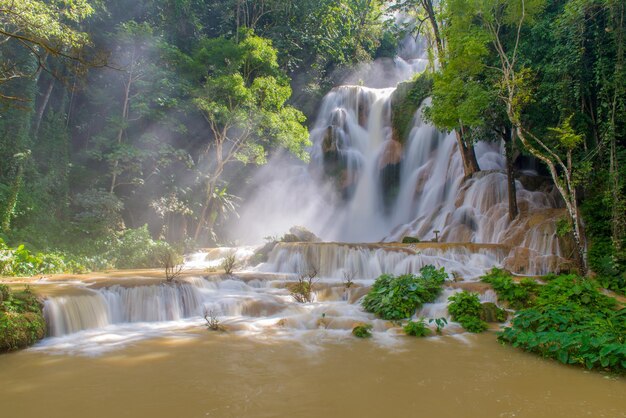 Cataratas en el bosque