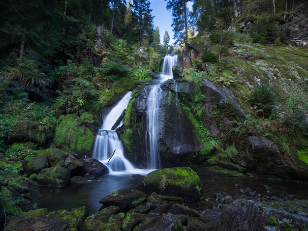 Cataratas en el bosque