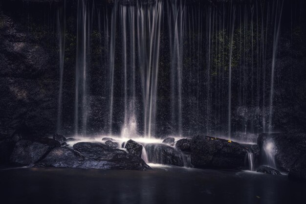 Cataratas del bosque