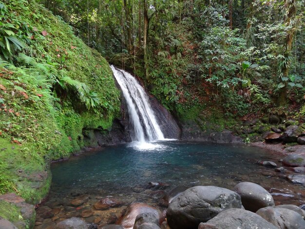 Foto cataratas del caribe