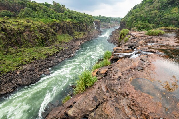 Cataratas do Iguaçu e floresta tropical com rio