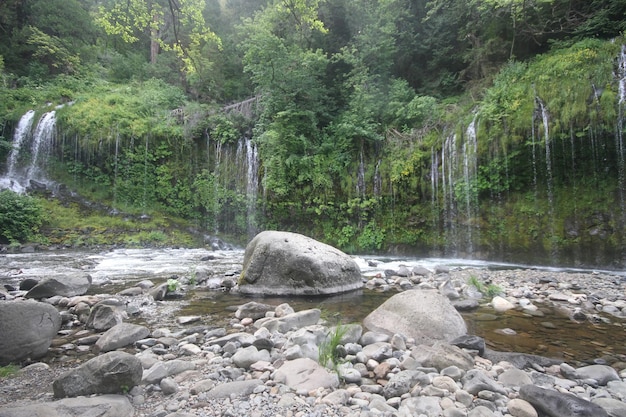 cataratas dunsmuir california