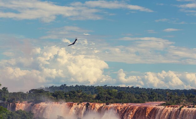 Cataratas del Iguazú, filtro de Instagram