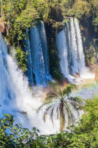 Las Cataratas del Iguazú son cascadas del río Iguazú en la frontera de Argentina y Brasil. Es una de las 7 nuevas maravillas de la naturaleza.