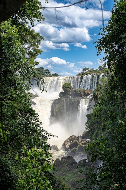 Foto las cataratas del iguazú, ubicadas dentro de un parque nacional virgen, albergan una gran variedad de flora y fauna en su ecosistema circundante.