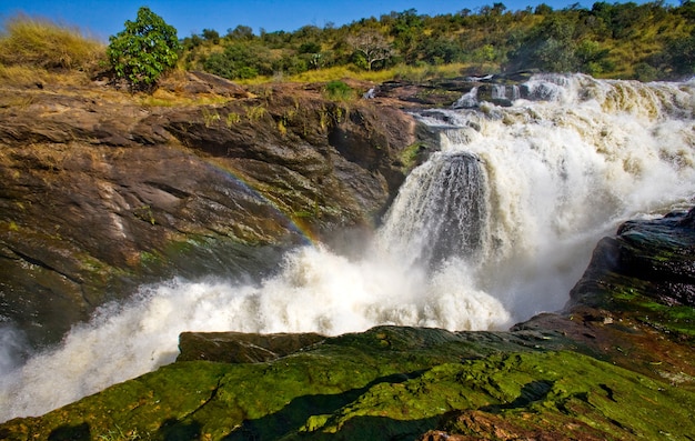 Cataratas de Murchison